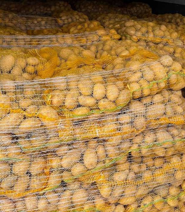 Продавам едри картофи за консумация, сорт Сорая
