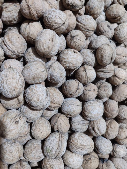 Гретские Орехи крупные