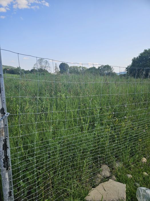 Vând teren în Curtea de Arges