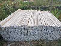 Vand spalieri , pari de beton Italia