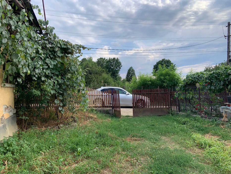 Casa la tara langa padure