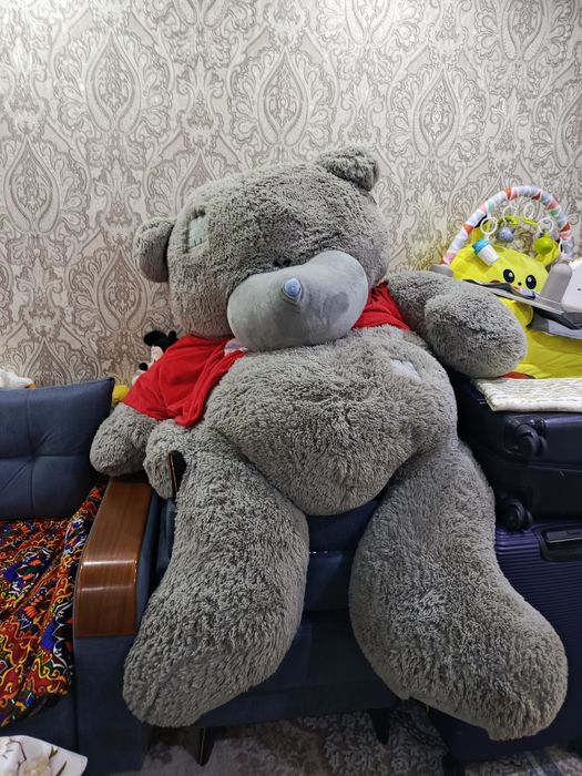 Teddy eng kotasi