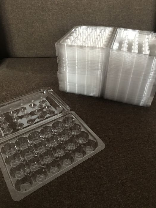 Cofraje oua prepelita