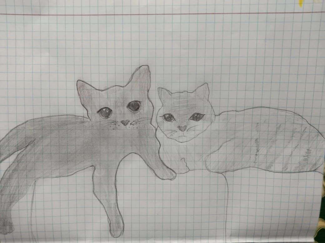 рисую домашних животных
