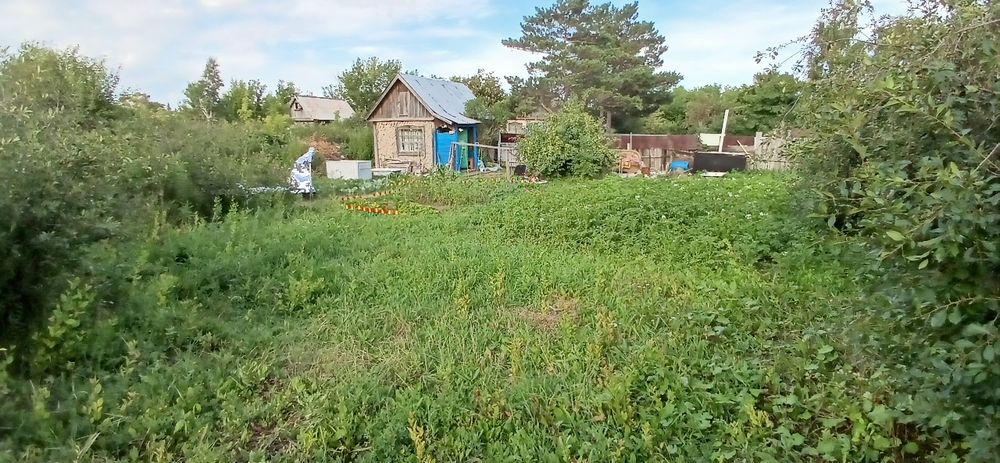 Продаю без торга. Дача на ромашке 8 км от маикудука. СОРТИРОВКА.