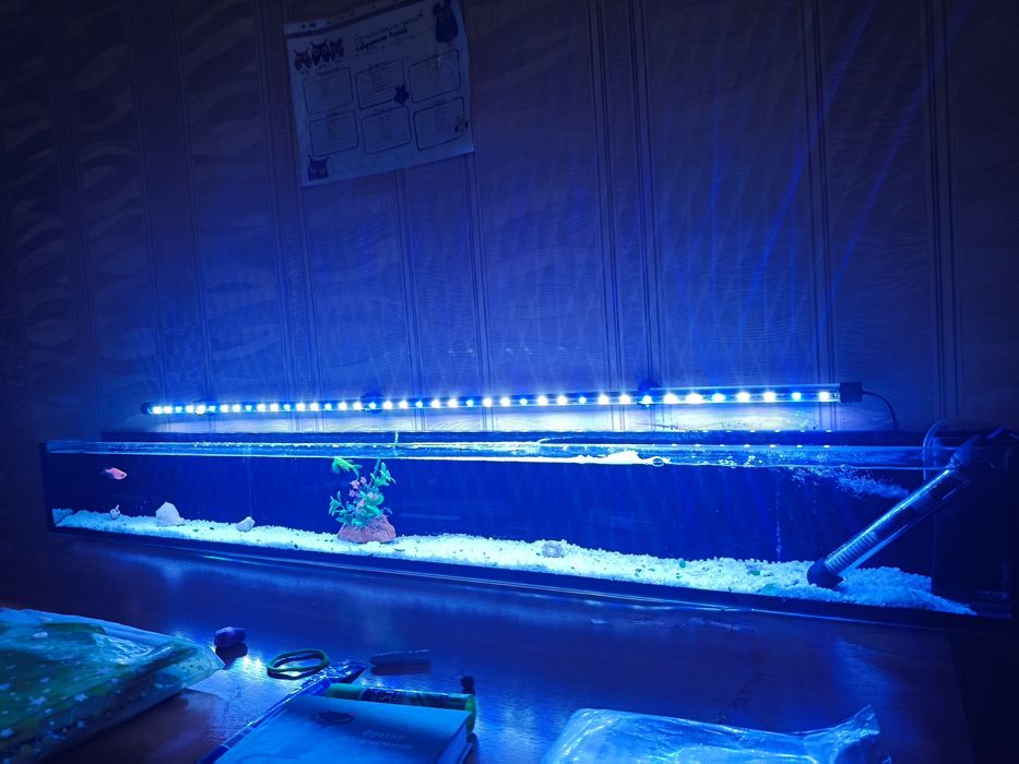 Продается аквариум +2 рыбы