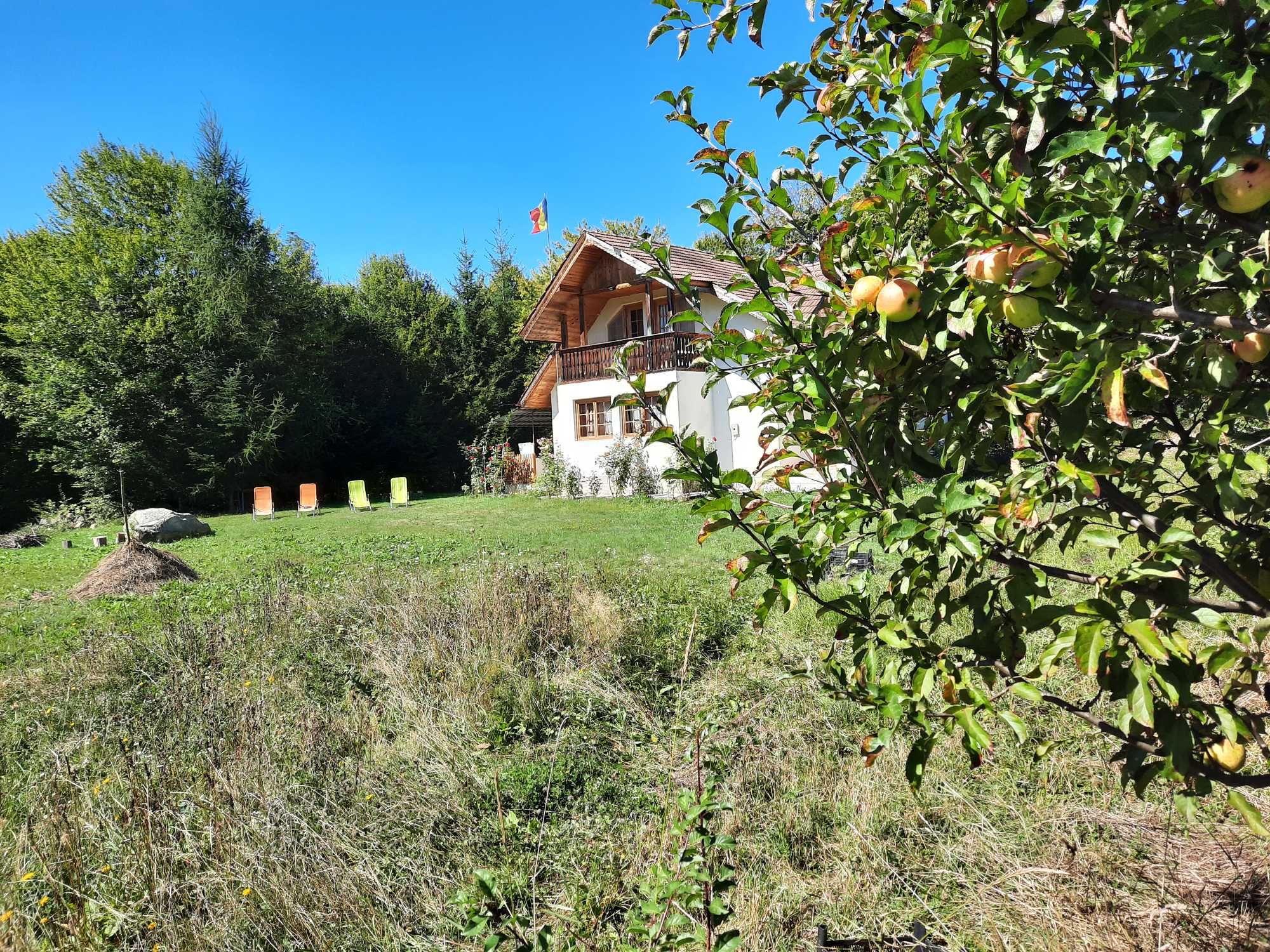 Casa de vacanta/cabana de vanatoare la Soveja, in Muntii Vrancei !