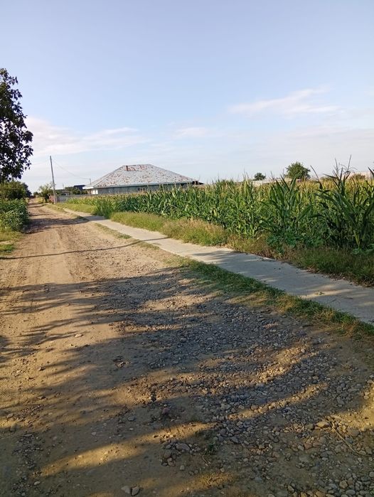 Teren vanzare Perieni Vaslui