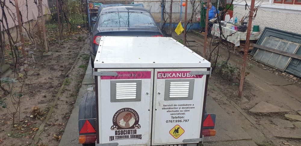 Remorca transport caini