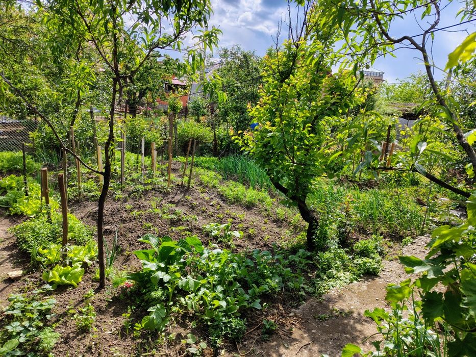 Casa in Oradea vânzare ,str Izvorului.Ocazie !87000€