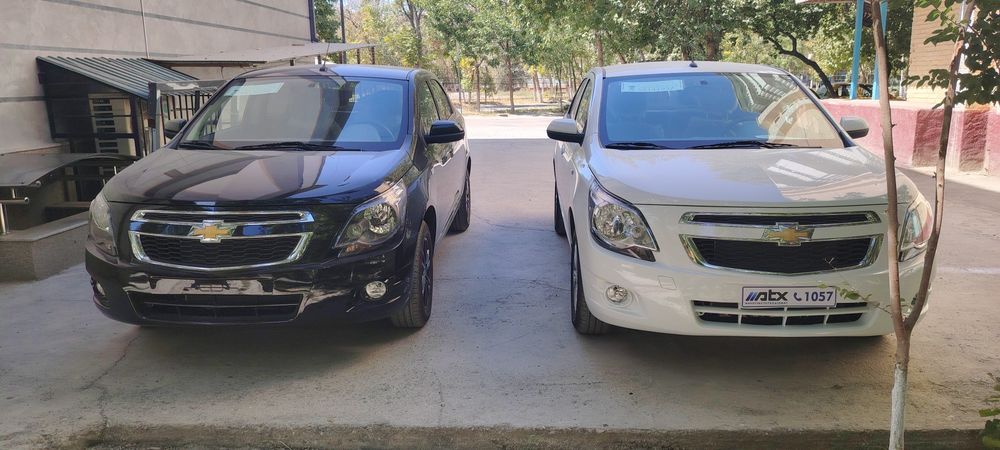 Kobolt qora midnayt 2025 yil