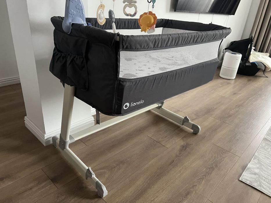 Patut bebelus lionelo