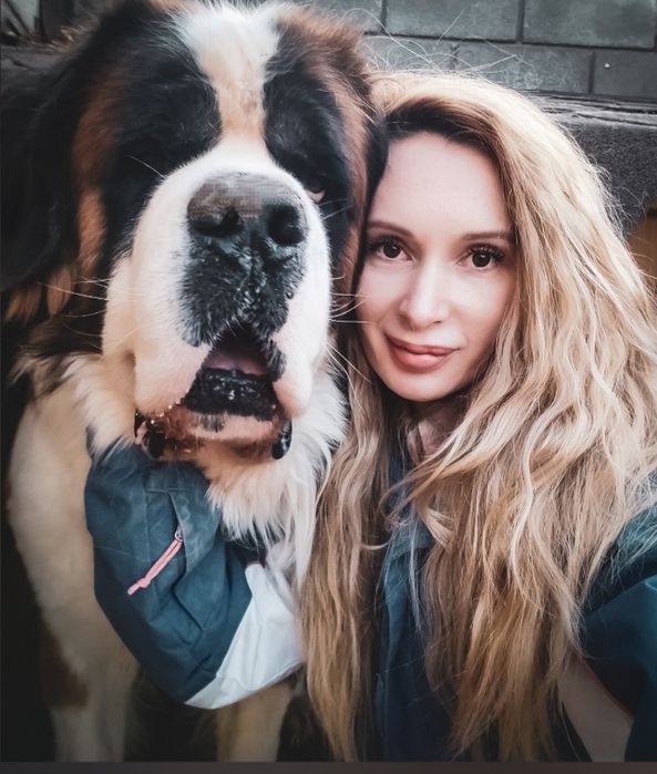 Сенбернар/Рассрочка/Питомник