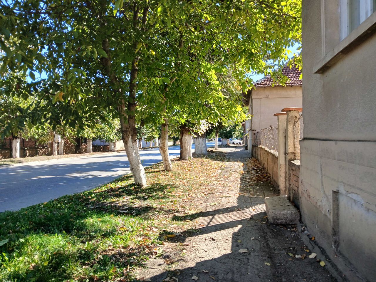 Продава се Къща в с. Търнава, Област Враца - 80 кв.м за 223 €/кв.м - Снимка #6