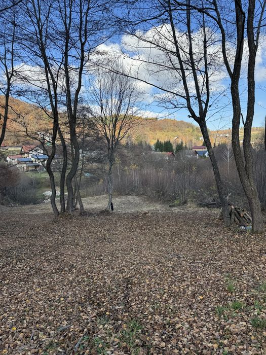 Teren intravilan, de vanzare Feleacu, zona linistita, padure + parau.