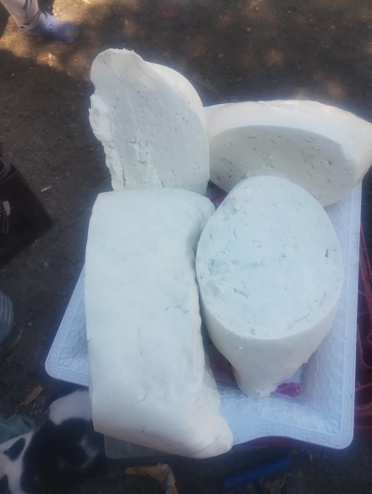 Branza de capra și oaie