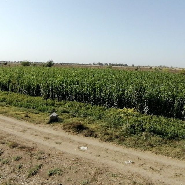 Kòchatlarga 1 yil kafolat