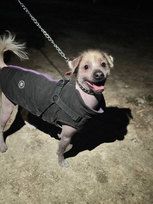 Отдаём в хорошие руки