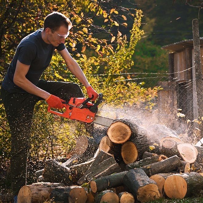 Daraxt va taxta kesamiz.
