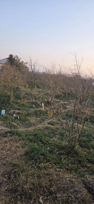 10 sotix  tomorqa  sotiladi