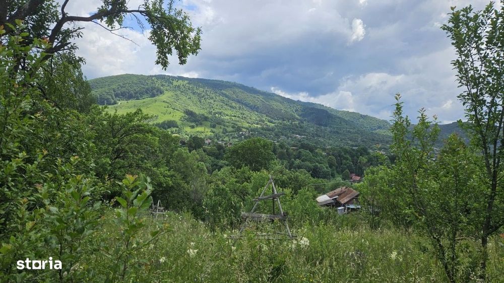 Teren de vanzare in Valea Doftanei