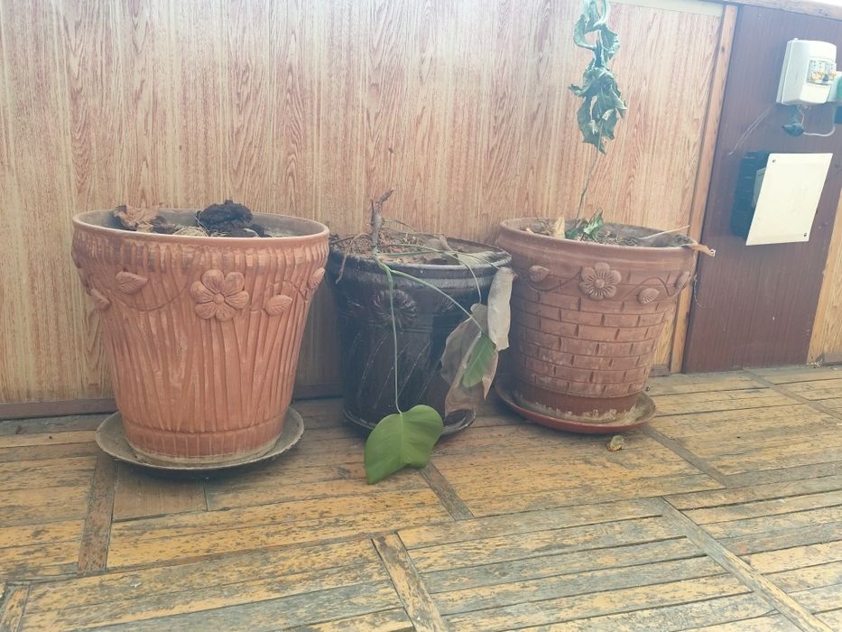 Горшки для цветов, большие и маленькие в ассортименте, качественные