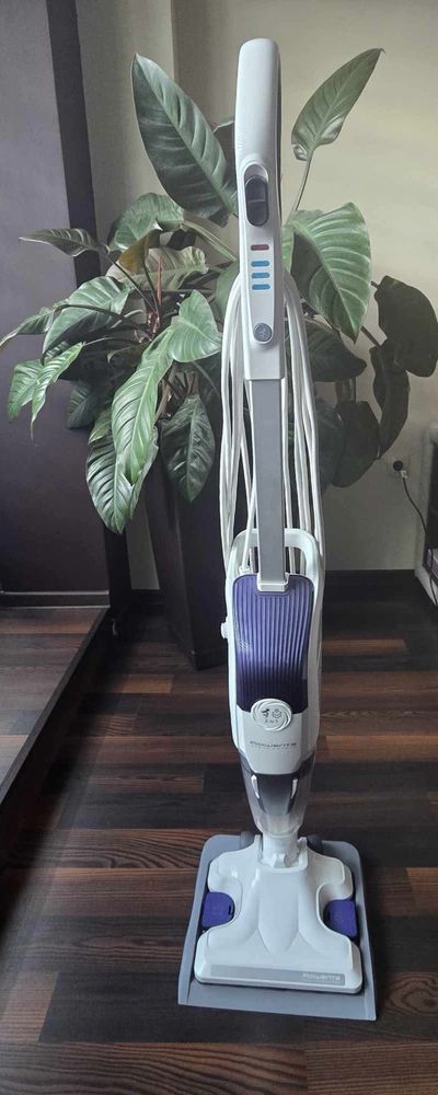 Rowenta clean and steam