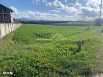 Teren Stupini Str. Baciului | Toate Utilitatile | 6.700mp