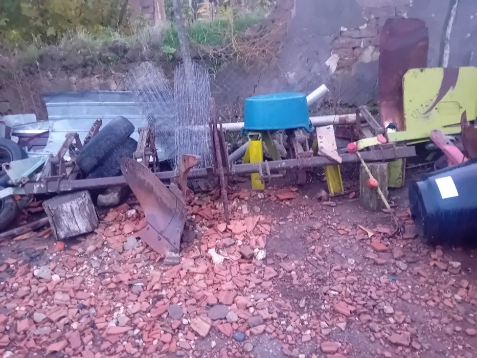 Rariță grau /porumb