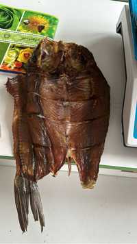 Рыба капченная сазана с балхаша