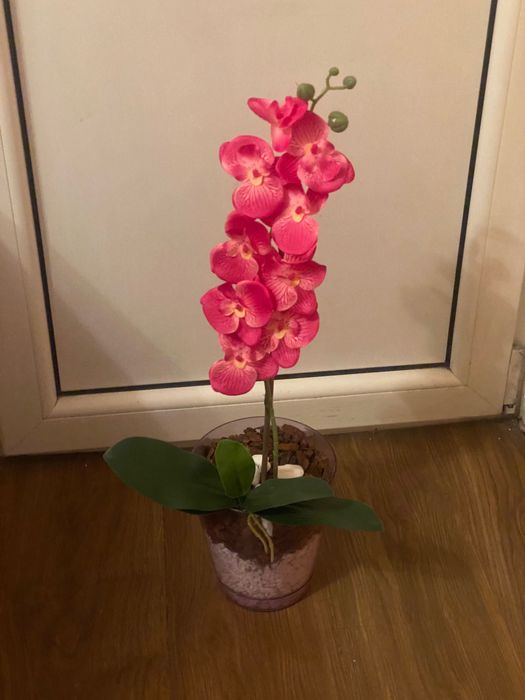 Орхидея латексна за вашия дом и офис