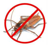 Уничтожение тараканов (дезинфекция) Результат - 100%  Цена договорная.