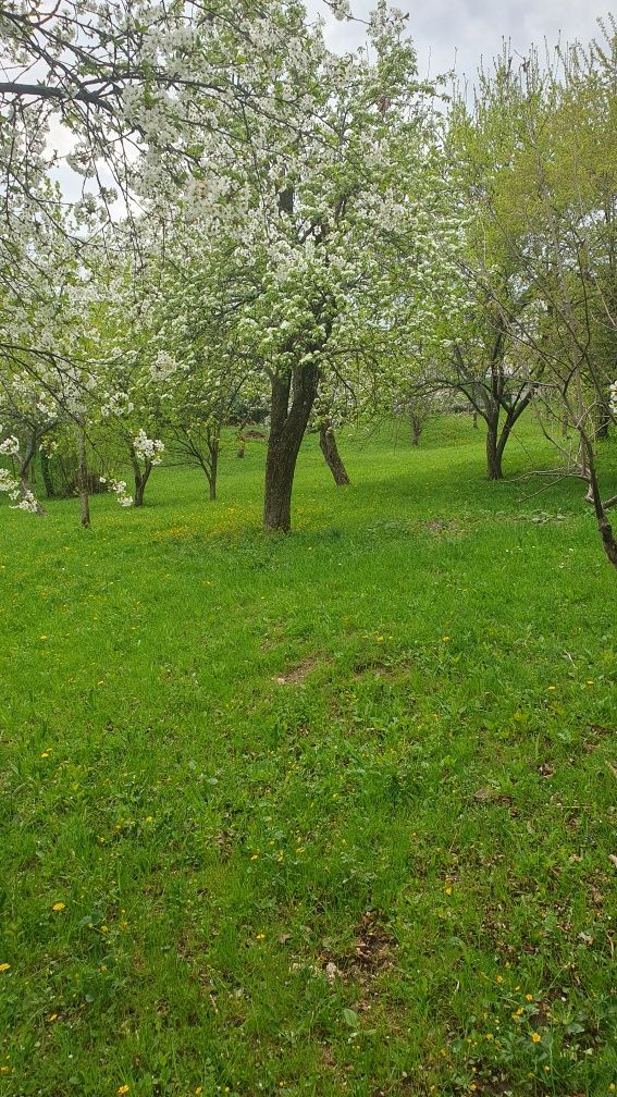 Teren intravilan Comarnic, Ghioșești