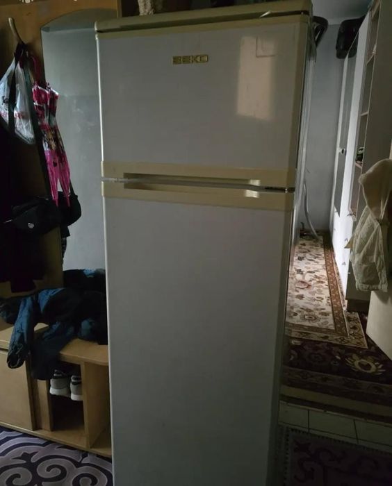 Холодильник и обувной шкаф