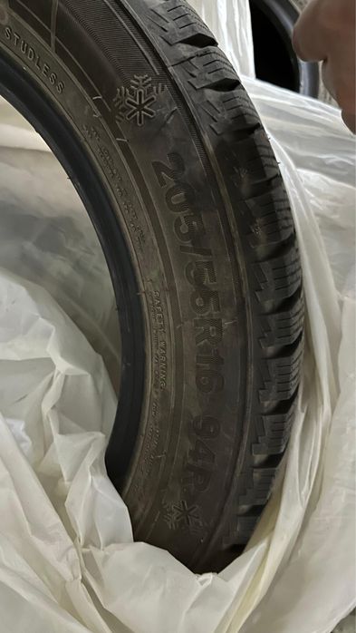 Шинный зимный Triagel