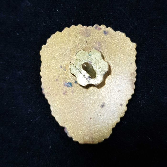 Lot insigne militare Republica Socialista Romania