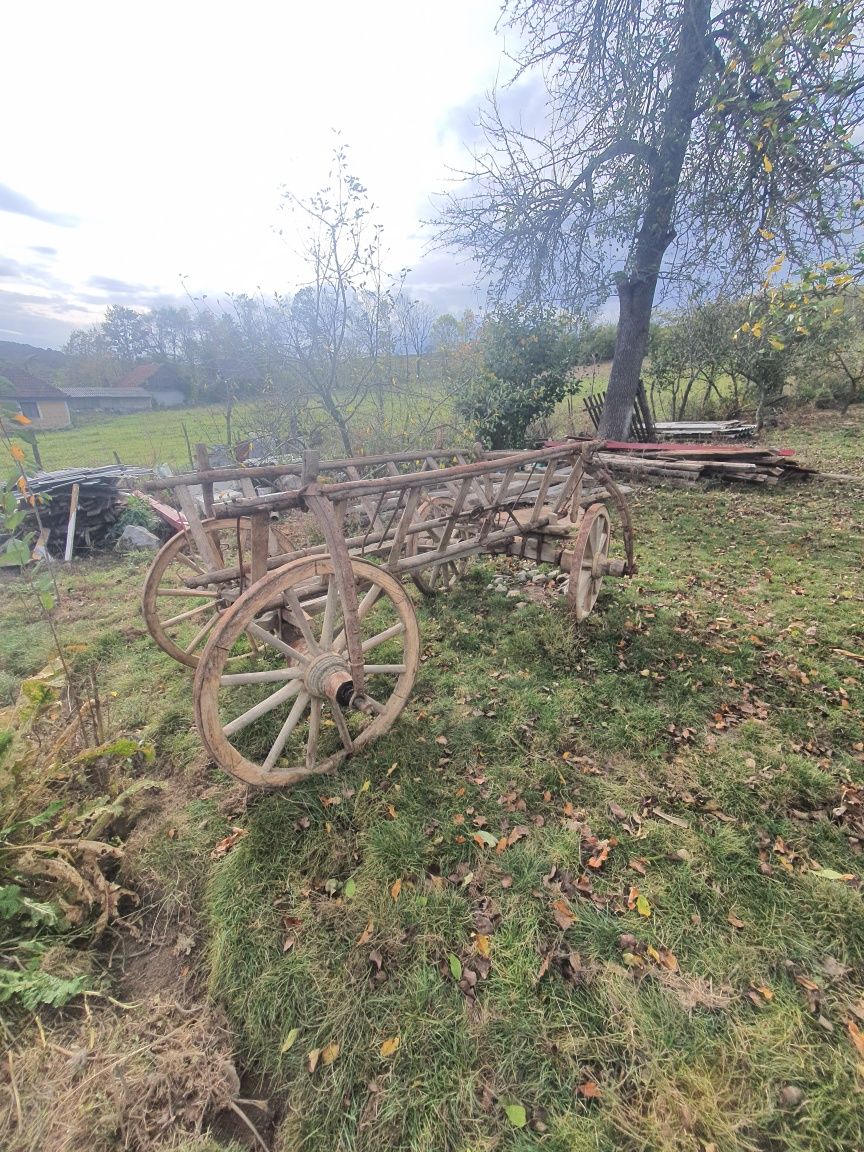 Car de lemn autentic