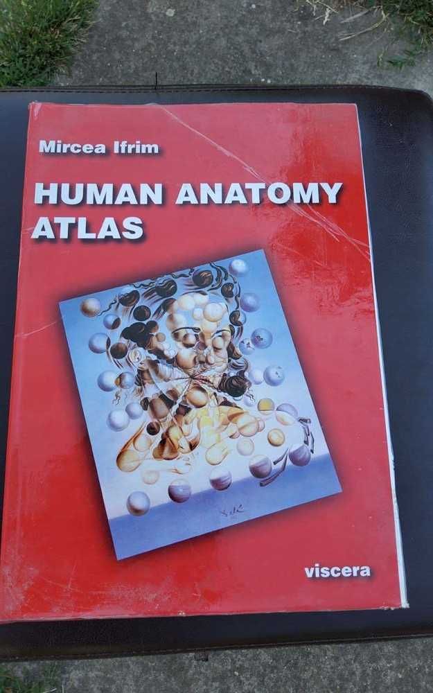 Human Anatomy Atlas, viscera,  Mircea Ifrim