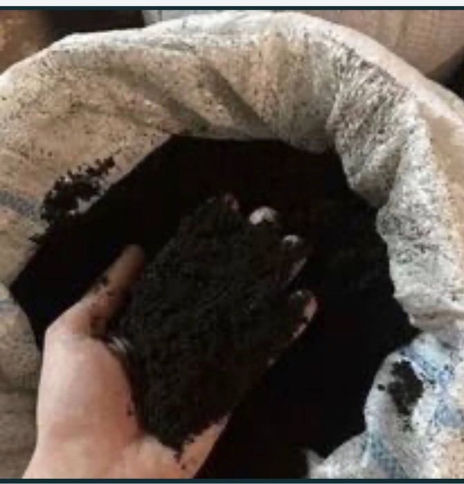 Biogomus Optom VA arson narhda