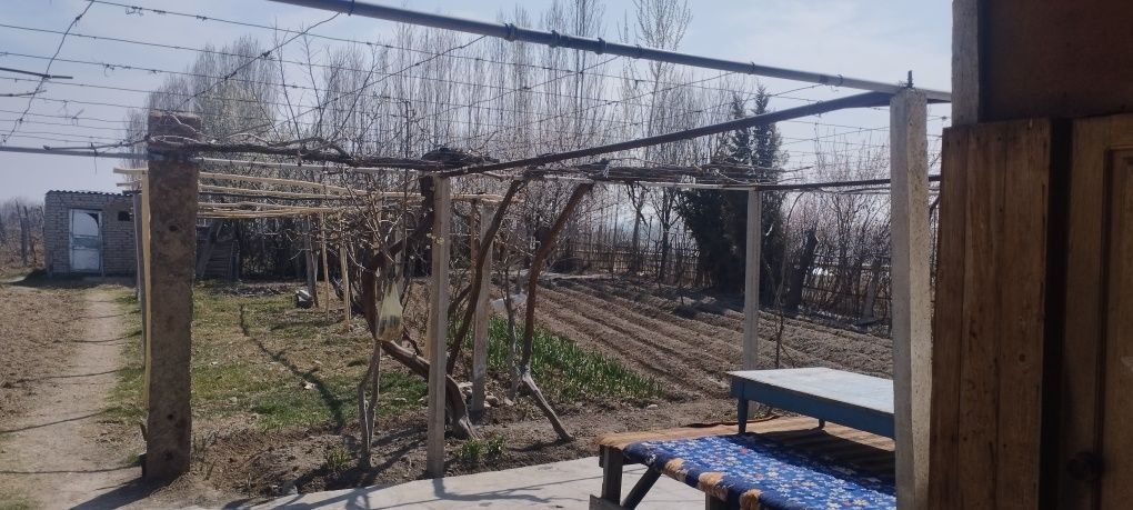 35 sotix mevali bogʻ sotiladi variantga xam kelishamiz