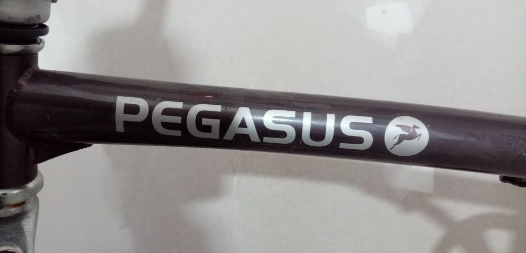 Pegasus bicicleta