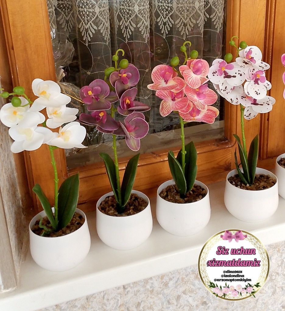 Mini orxideya 55 ming. Suniy gullar. Toshkent