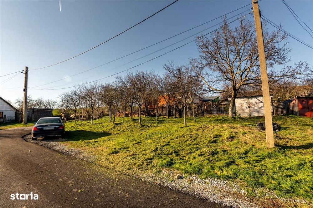 Reco. Casa La Rosu , Cetariu