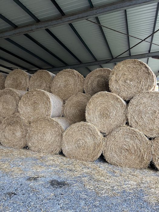 Бали слама пшеничена