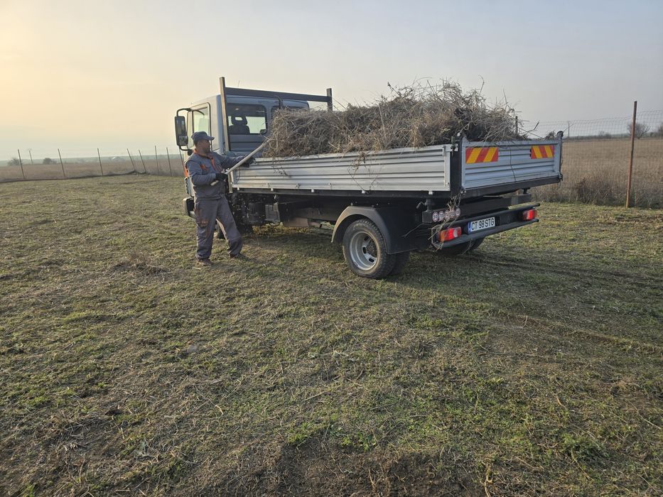 Defrișări tăieri pomii