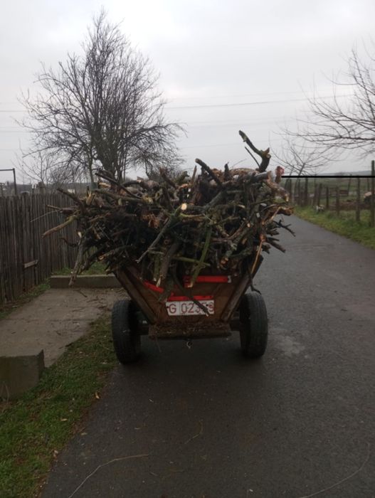 Vând lemne de foc/prestez servicii cu drujba
