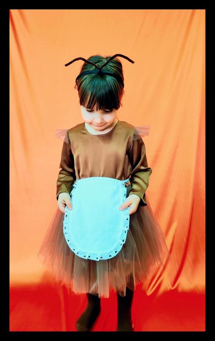 Costum furnică copii