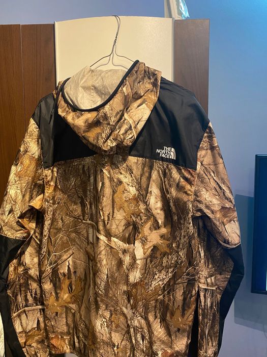 The north face jacket
