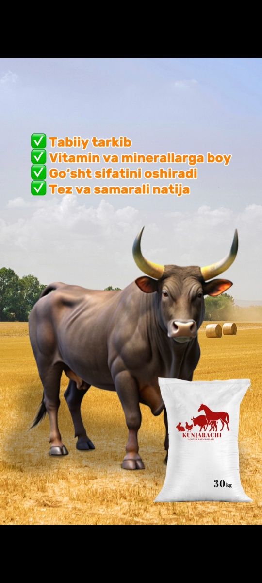 Maxsus Premium yem Kunjarachi