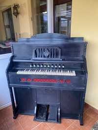 Pianina rustica Hinkel